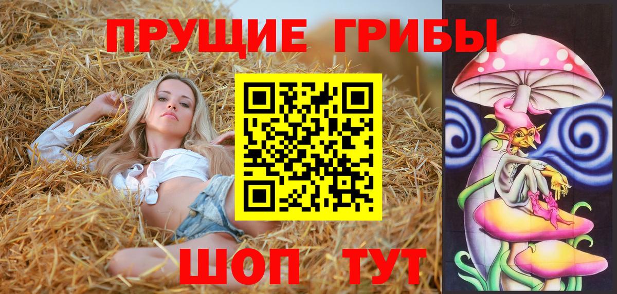 Галлюциногенные грибы Cubensis  купить наркоту  Ленинск-Кузнецкий  Вход с VPN  Галлюциногенные грибы мицелий 